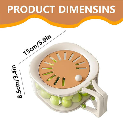 Fruit Drain Basket